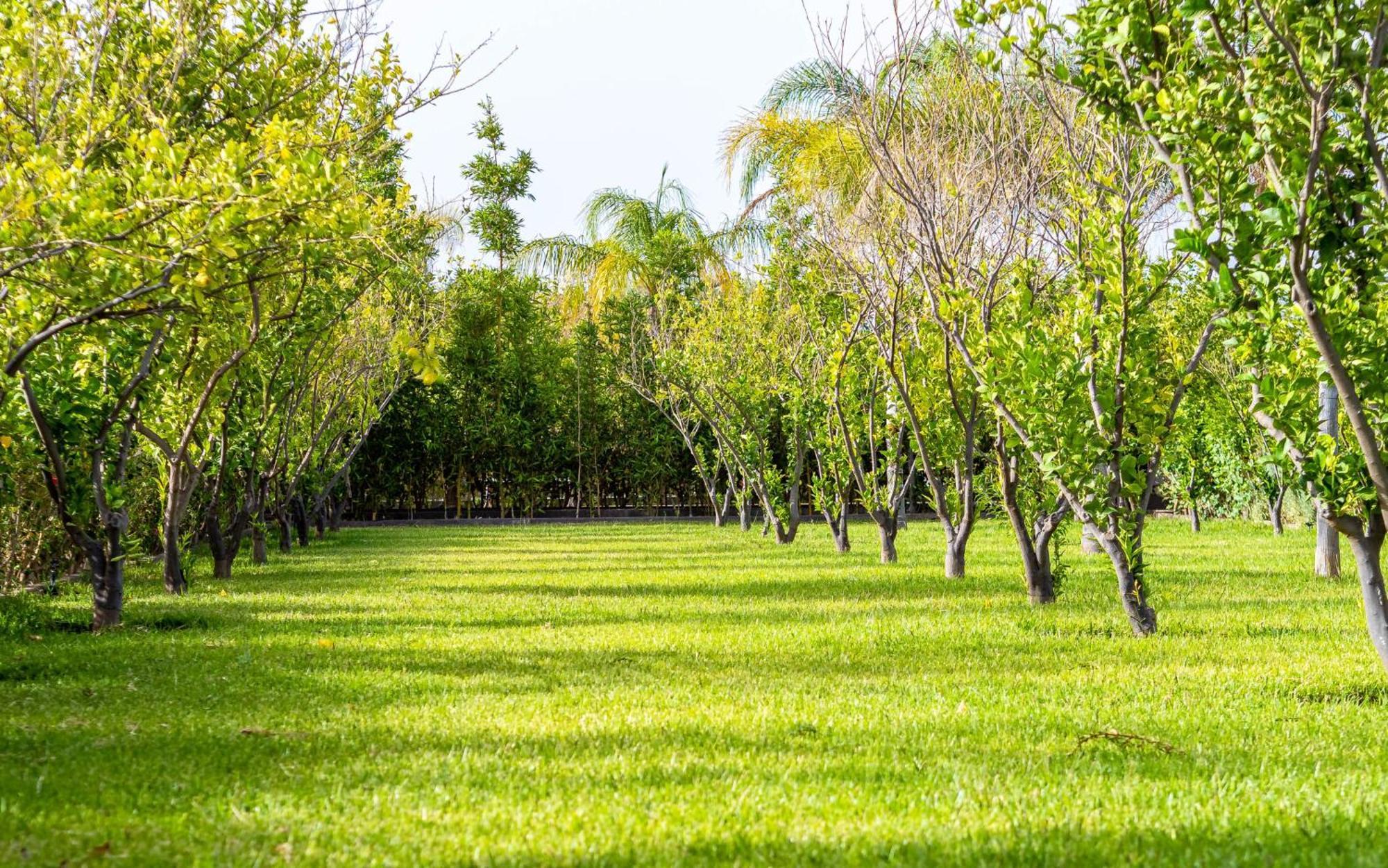 The Lemonary Marrakech Ξενοδοχείο Ouled Moumen Εξωτερικό φωτογραφία