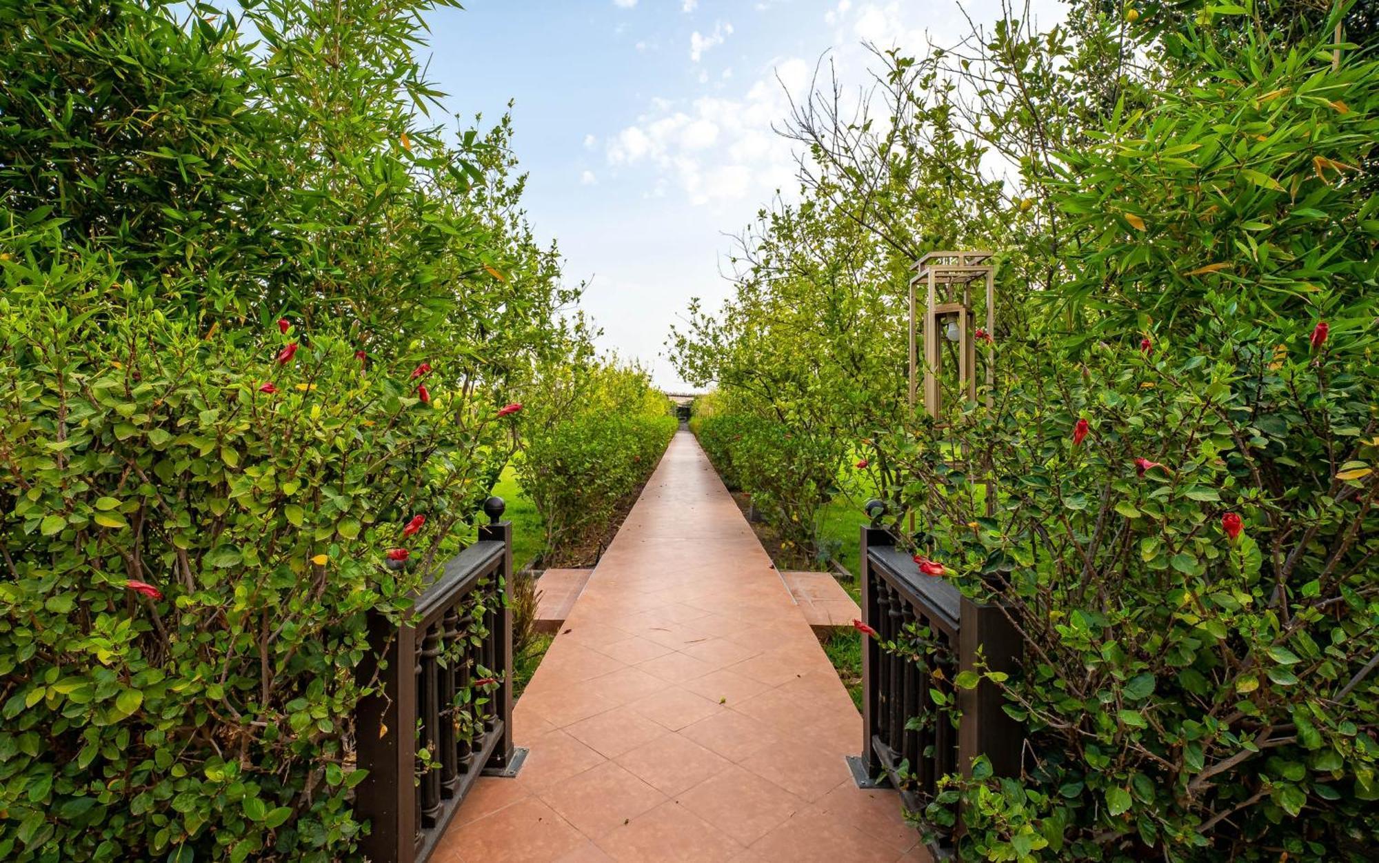 The Lemonary Marrakech Ξενοδοχείο Ouled Moumen Εξωτερικό φωτογραφία