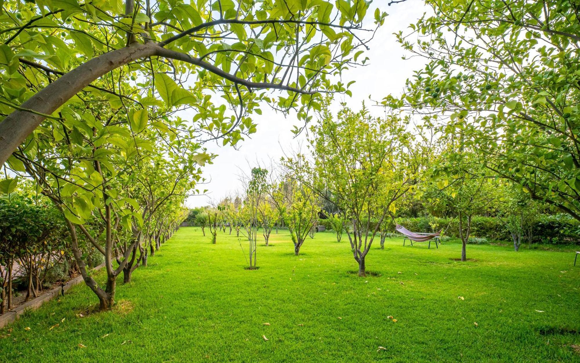 The Lemonary Marrakech Ξενοδοχείο Ouled Moumen Εξωτερικό φωτογραφία