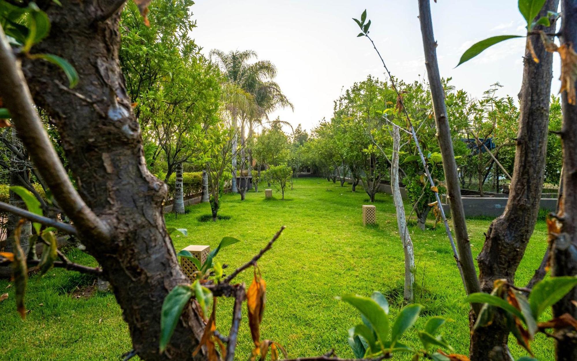 The Lemonary Marrakech Ξενοδοχείο Ouled Moumen Εξωτερικό φωτογραφία