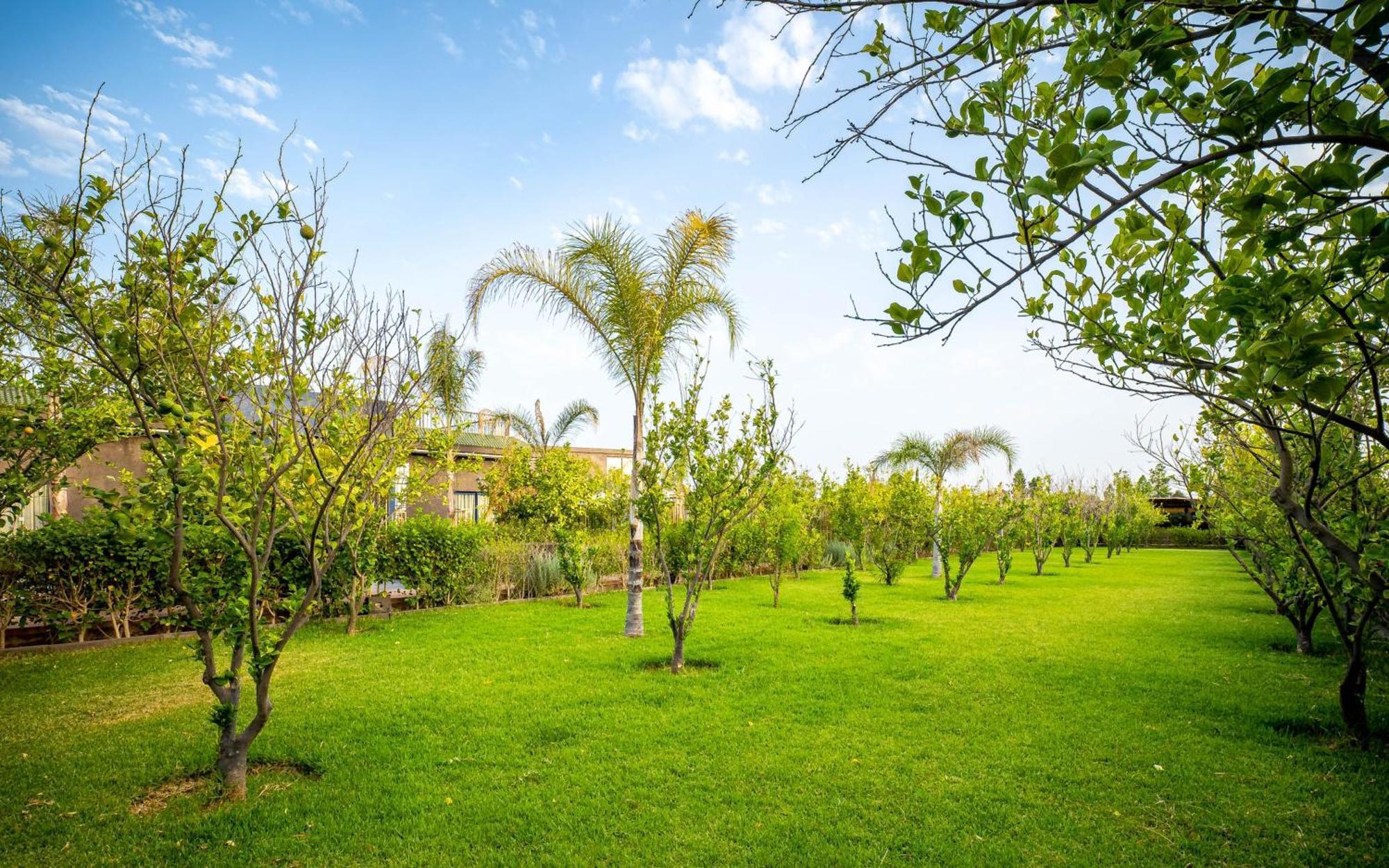 The Lemonary Marrakech Ξενοδοχείο Ouled Moumen Εξωτερικό φωτογραφία