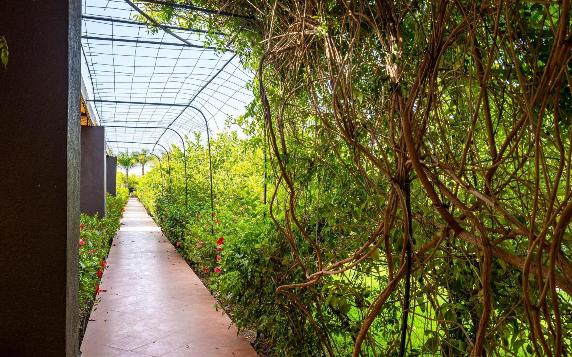 The Lemonary Marrakech Ξενοδοχείο Ouled Moumen Εξωτερικό φωτογραφία