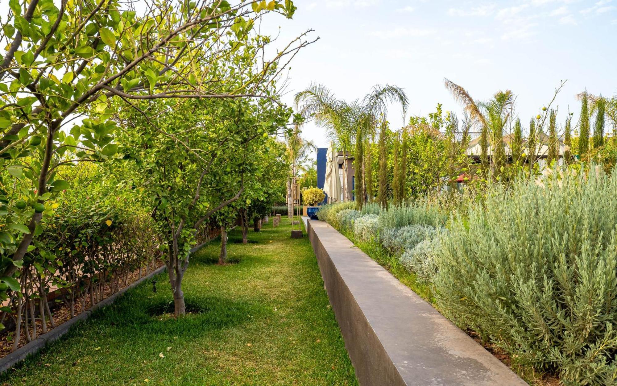 The Lemonary Marrakech Ξενοδοχείο Ouled Moumen Εξωτερικό φωτογραφία