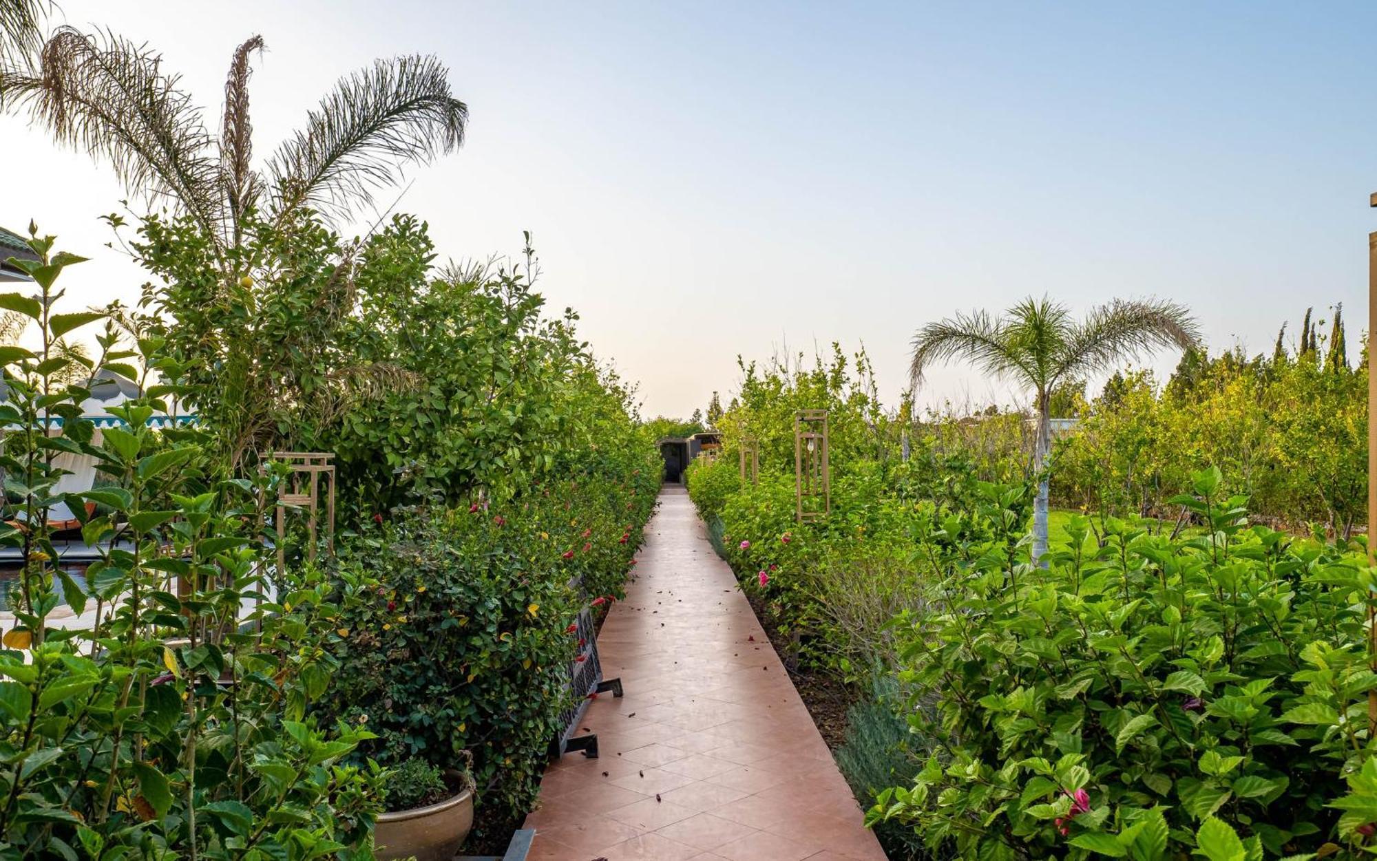 The Lemonary Marrakech Ξενοδοχείο Ouled Moumen Εξωτερικό φωτογραφία