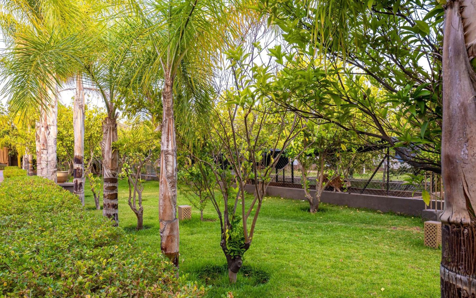 The Lemonary Marrakech Ξενοδοχείο Ouled Moumen Εξωτερικό φωτογραφία